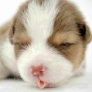 _yh葱的个人资料头像