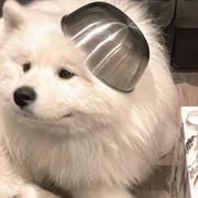 小小怪大王的个人资料头像