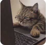 GNOOB的个人资料头像