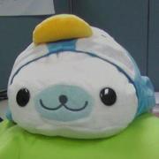 qqcake的个人资料头像