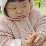 百胜鱼头像