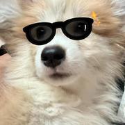 从小就听话的个人资料头像