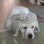 用户404070711260的个人资料头像