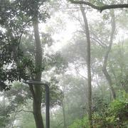 雾水2221的个人资料头像