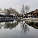 席锦泰头像