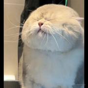 OriginYu的个人资料头像