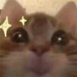 绝版灬小飞的个人资料头像