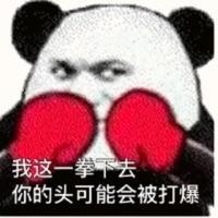 佩奇拳击手头像