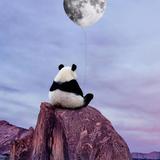 CAOCHUNCHEN头像