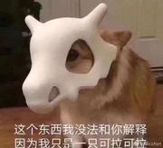 怀仙的个人资料头像