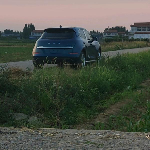 好猫狂热爱好者头像