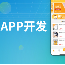 移动APP小程序开发