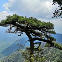 潜龙勿用JL头像