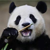 远离人群88头像