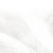 用户3012223537463的个人资料头像