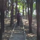 MK爱学习的个人资料头像