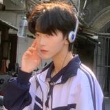 小白买车记5251头像