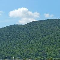 用户9334628676278头像