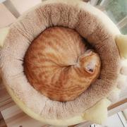 白野的个人资料头像