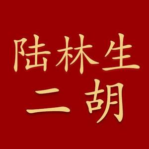 陆林生红晨扬乐器专卖店头像