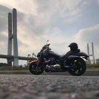 敦厚街的过客头像