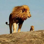 Hanke的个人资料头像