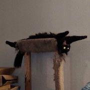 a氷砂糖的个人资料头像