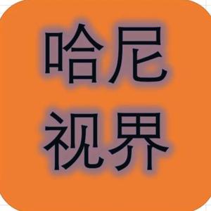 哈尼视界9P2w头像