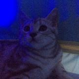 嗨，张小欠儿😺头像