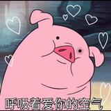ss头像