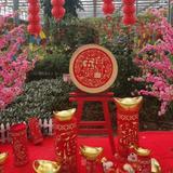 andy203696537头像
