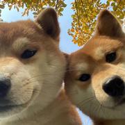 SunSun的个人资料头像