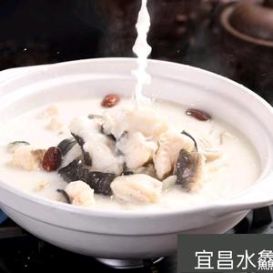 水鱻（鲜）鱼馆头像