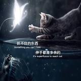 挺好4707头像
