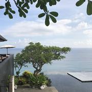 一叶扁的个人资料头像