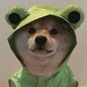 liangzn的个人资料头像