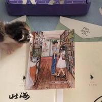 用户9643241720055头像