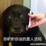 片肖嘢头像