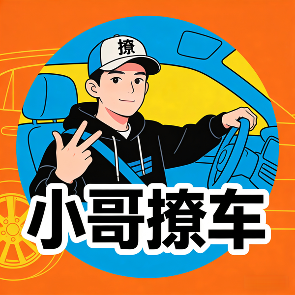 小哥撩车头像