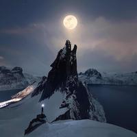 槐序深巷227头像