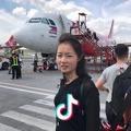 自由翱翔的雁头像