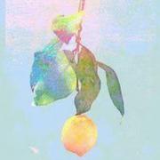 JusDeCitron的个人资料头像