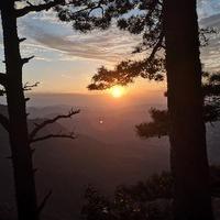 顽强精灵iA头像