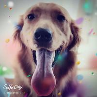 Purelittlesheep头像