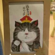 YZW34168的个人资料头像