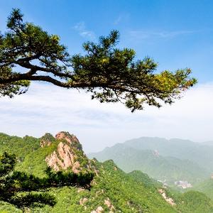 汝阳晨曦影视头像