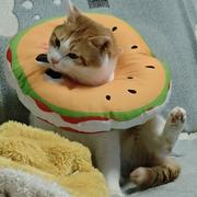 用户2558717130371的个人资料头像