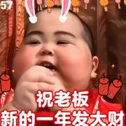 特朗普债主的个人资料头像