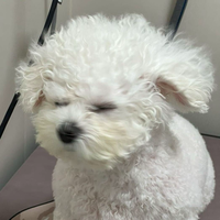 我是小朵朵啦头像