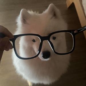 7c头像